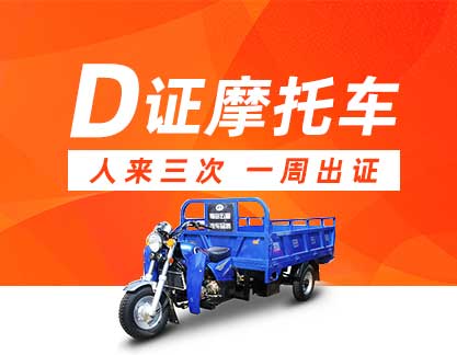 D证 摩托车